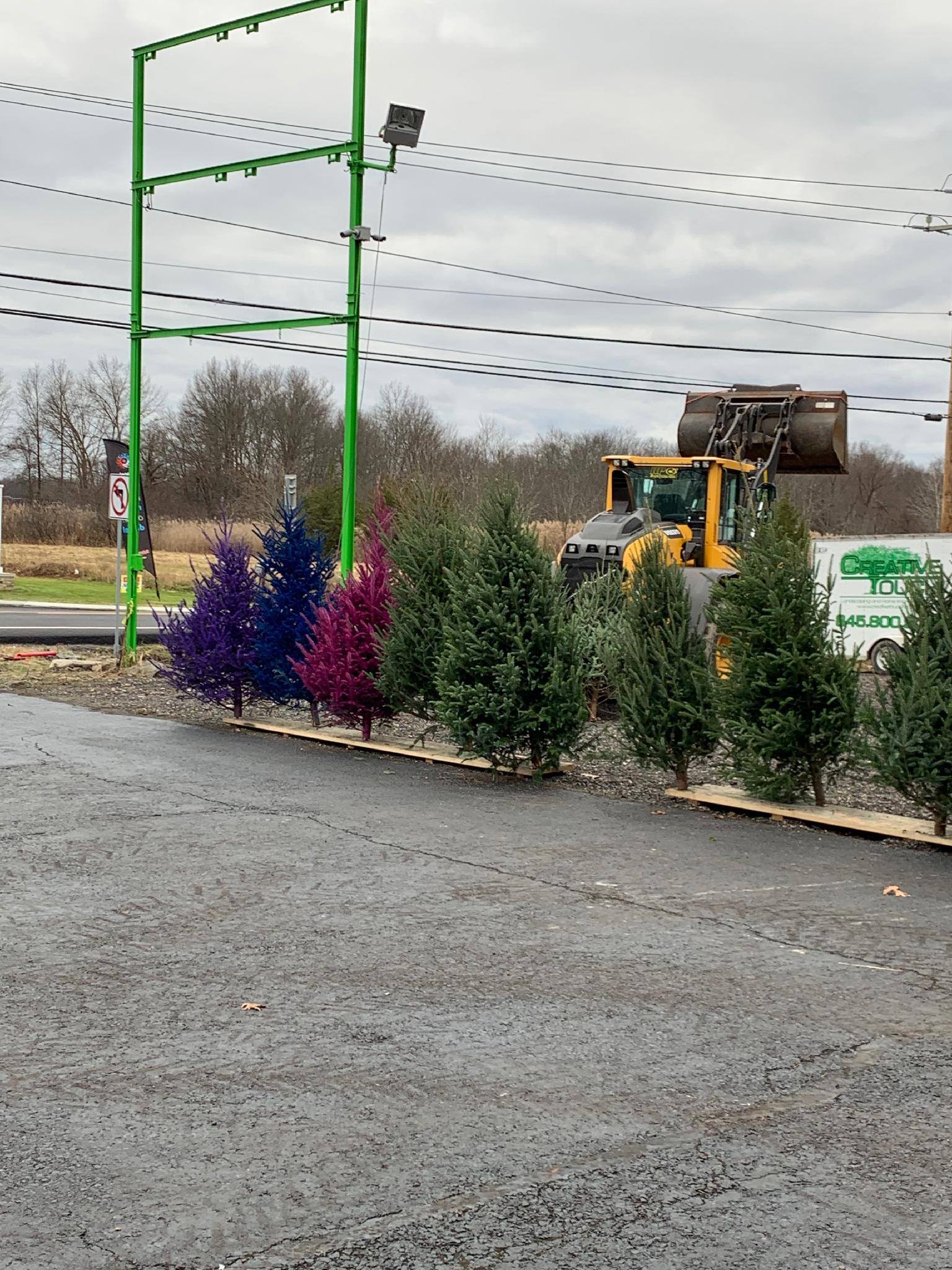 Christmas Trees and Wreaths for sale Walden, NY Creative Touch