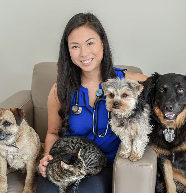 Our Team Mac Animal Clinic