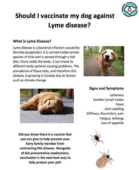 TICK TALK MARCH IS TICK AWARENESS MONTH