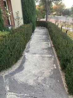 sidewalk