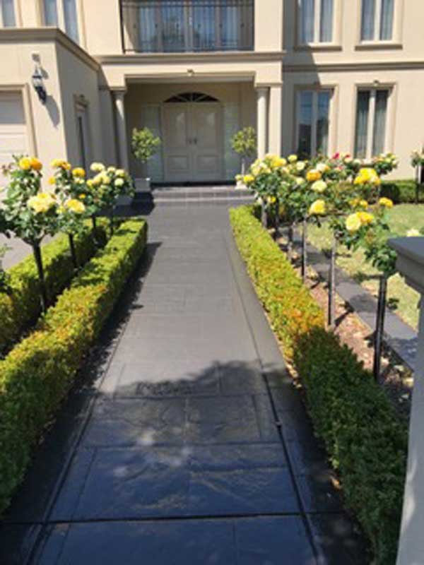 beautiful greenery lining a sidewalk