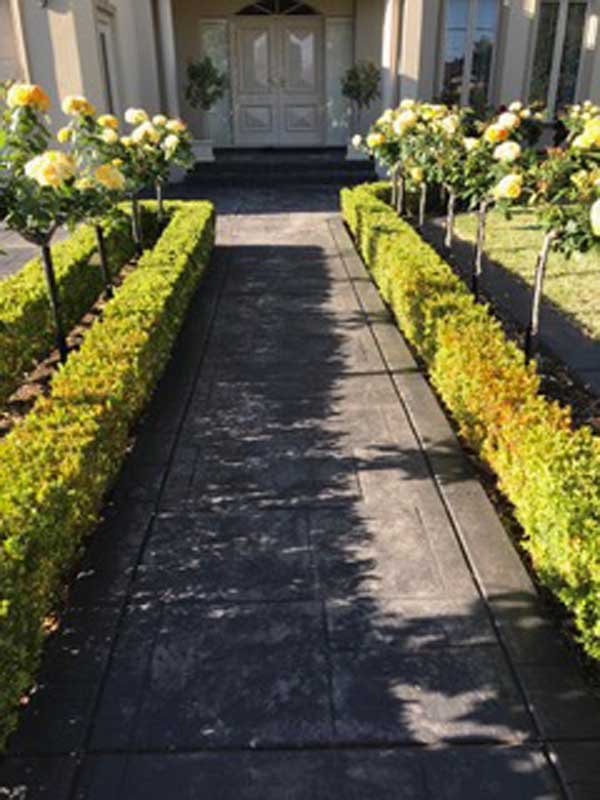 drive way with green bushes on each side