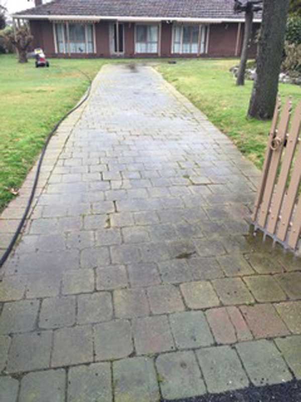 brown sidewalk in the grass