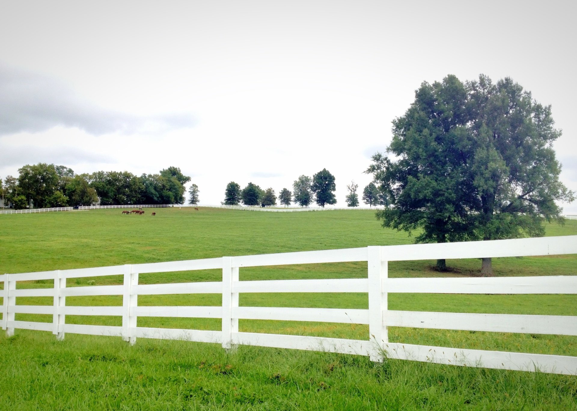 Latex & Oil Based Red Fence & Barn Paints by Lexington Paint in KY