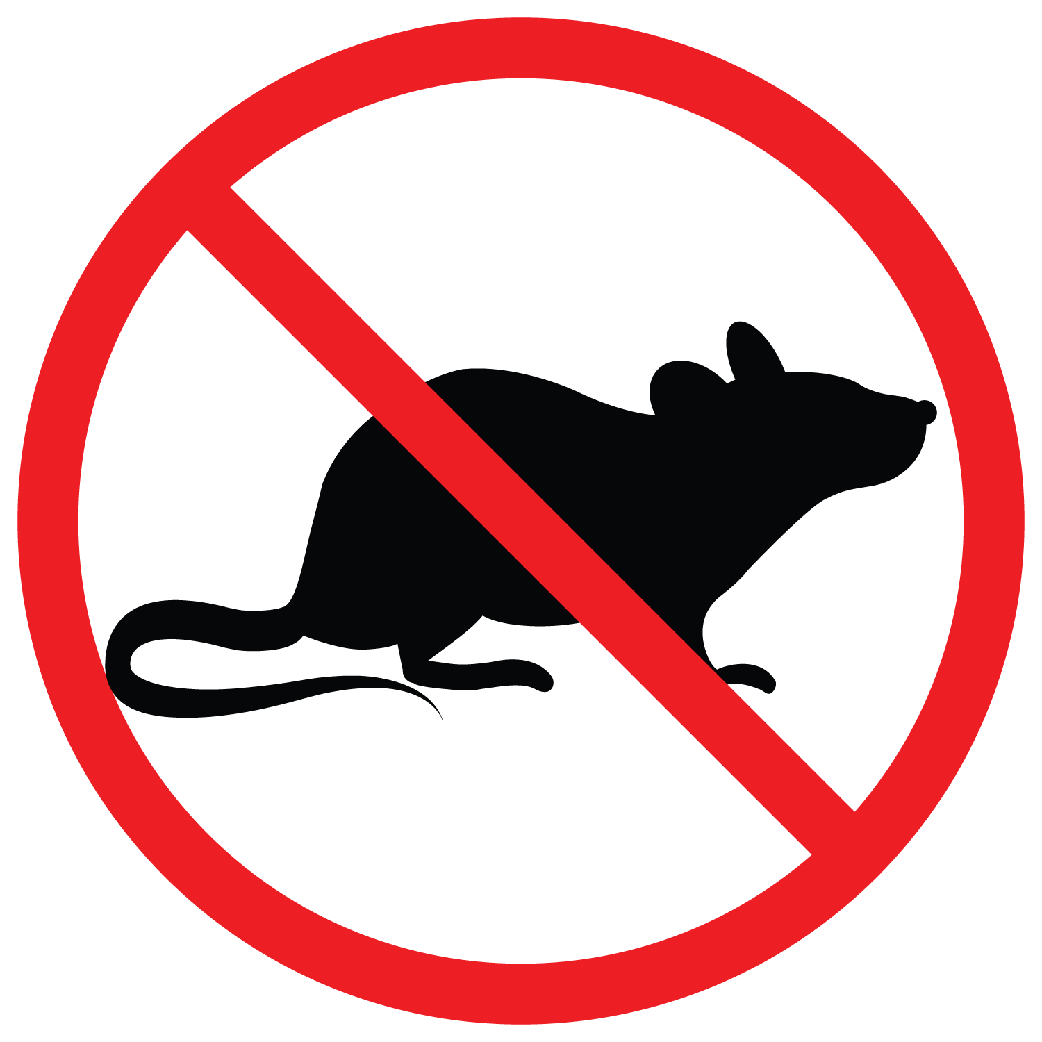 The Best Pest Control Company In ALL Of South Denver!