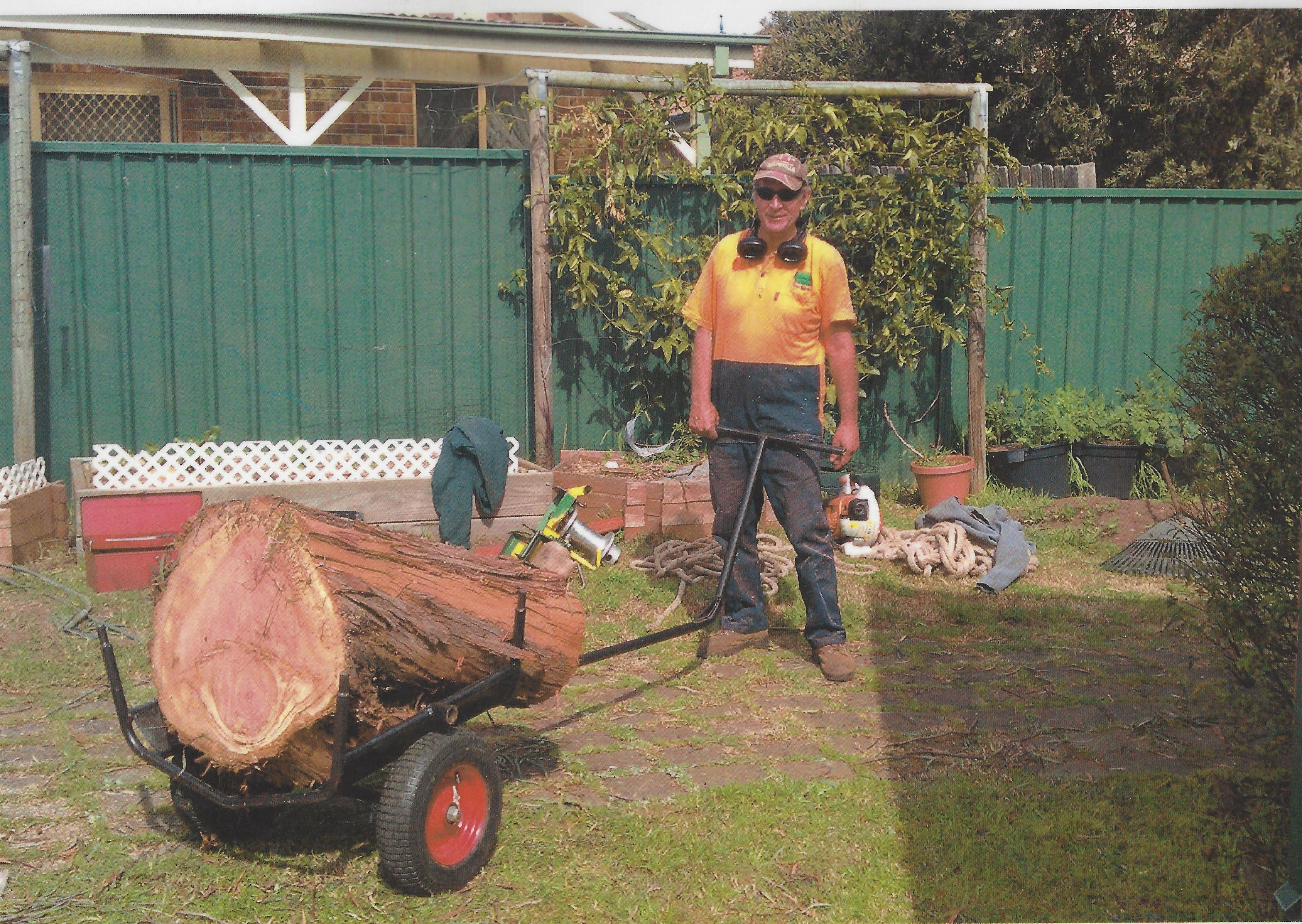 One of our workers performing tree services in Campbelltown.