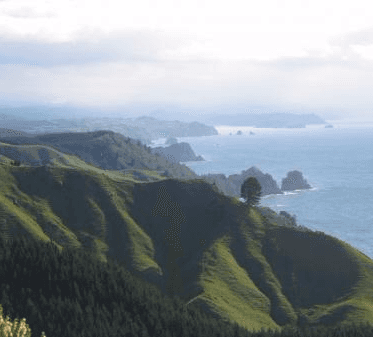 Rural Coastal Subdivision