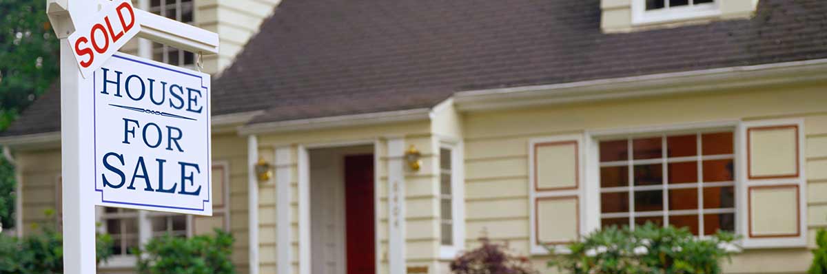 young_muggleton_hero4