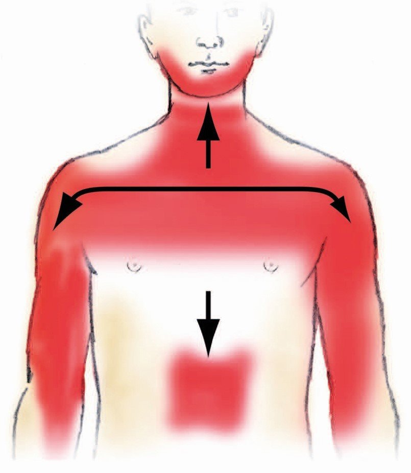 PATIENTENINFOS