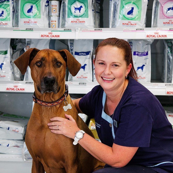 Irrawang Veterinary Hospital Raymond Terrace, NSW Meet the Team