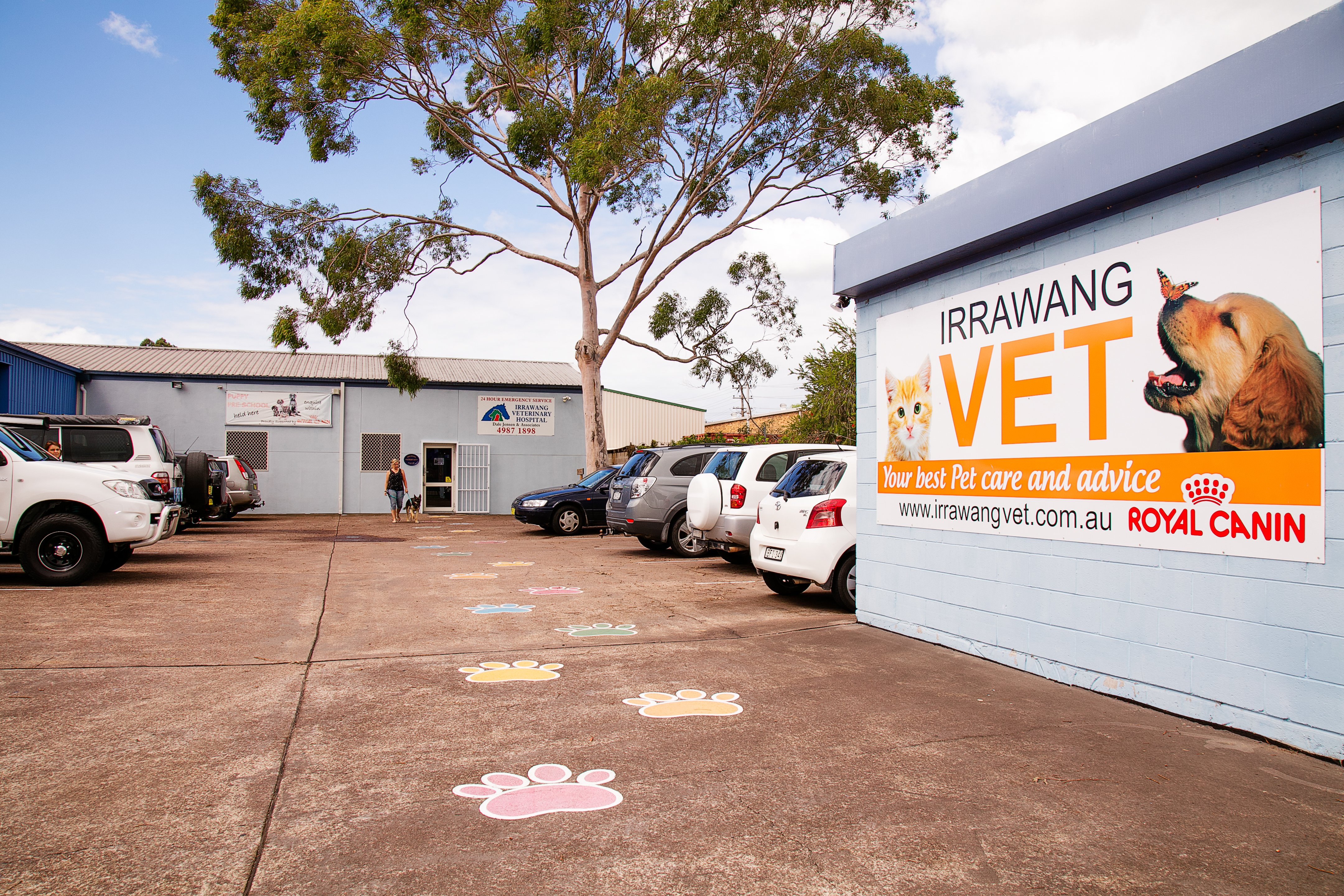 terrace vet irrawang veterinary hospital raymond terrace nsw home terrace vet irrawang veterinary hospital raymond terrace nsw home