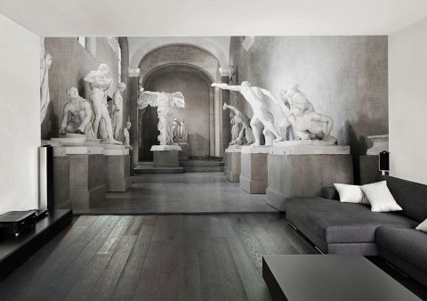 Vescica Repleta A Pareti Regolari