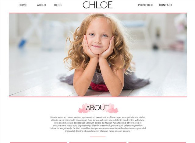 Porfolio Theme 2 Website Design Themes by Search Marketing Specialists