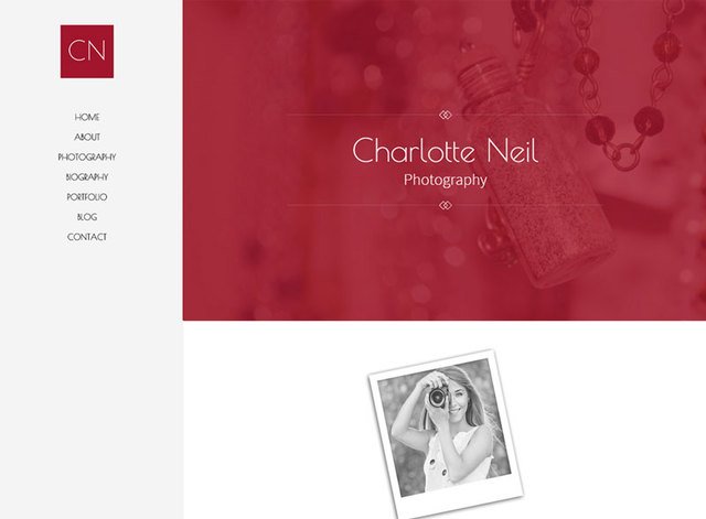 Porfolio Theme 4 Website Design Themes by Search Marketing Specialists