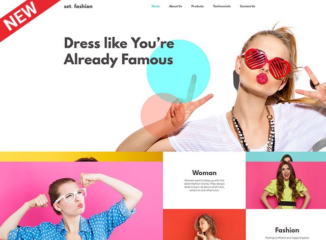 Fashion Website Design Themes by Search Marketing Specialists