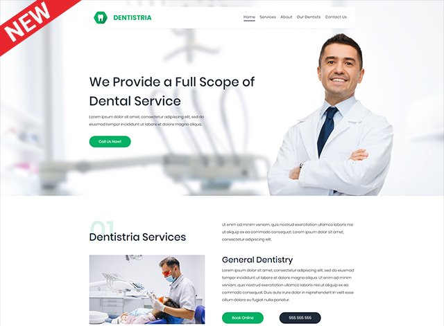 Dentistria Themes by Search Marketing Specialists
