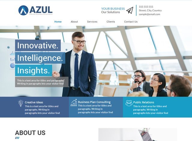 Professional Website Design Themes by Search Marketing Specialists