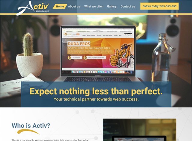 Professional Website Design Themes by Search Marketing Specialists