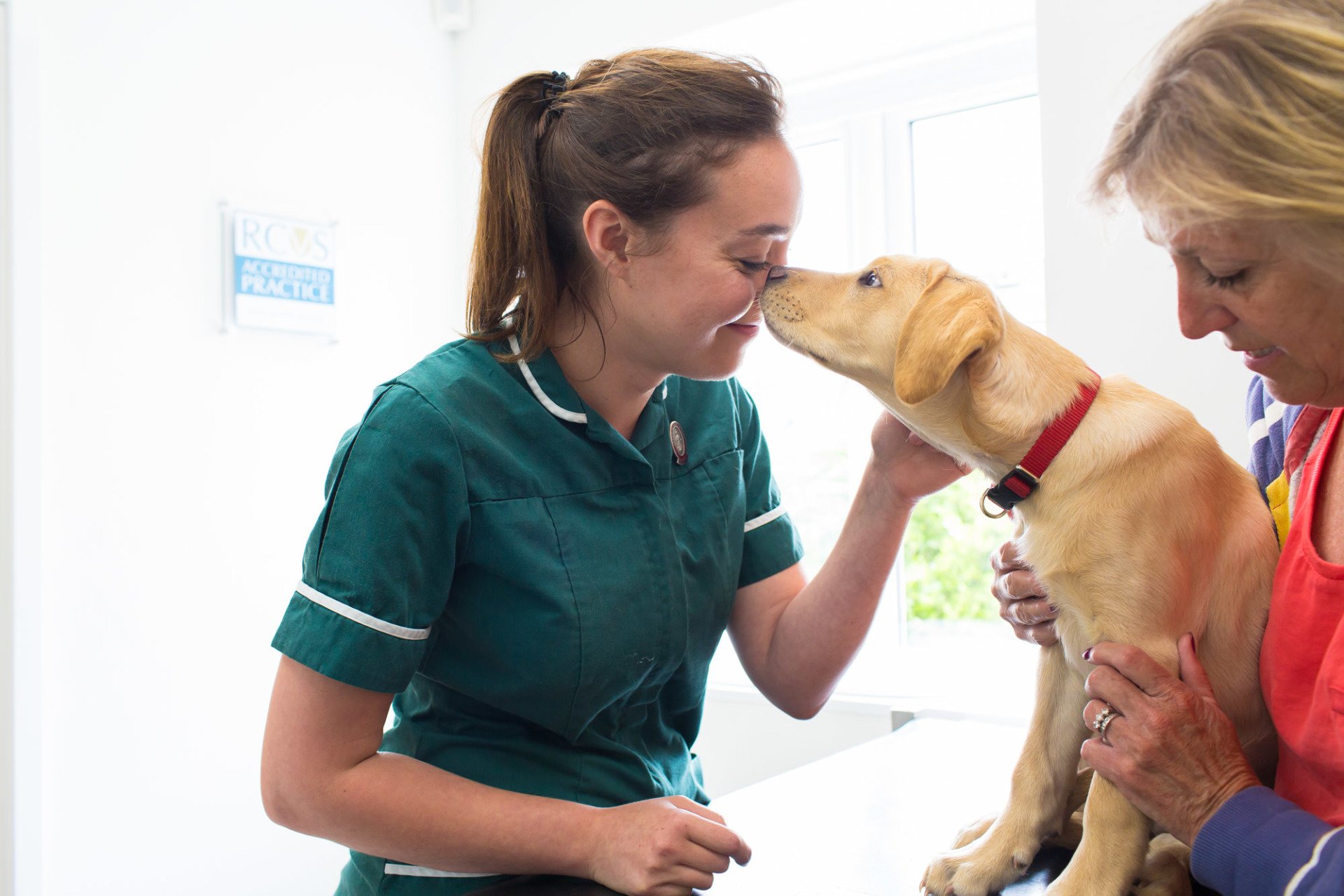 Our Pet Services Vets in Sidmouth Jurassic Vets