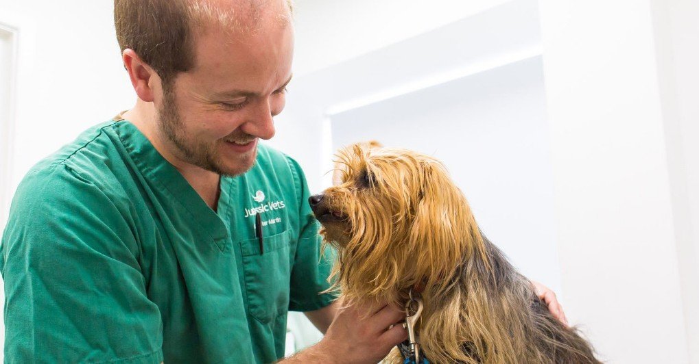 Vets in Sidmouth Vets in Colyton Jurassic Vets