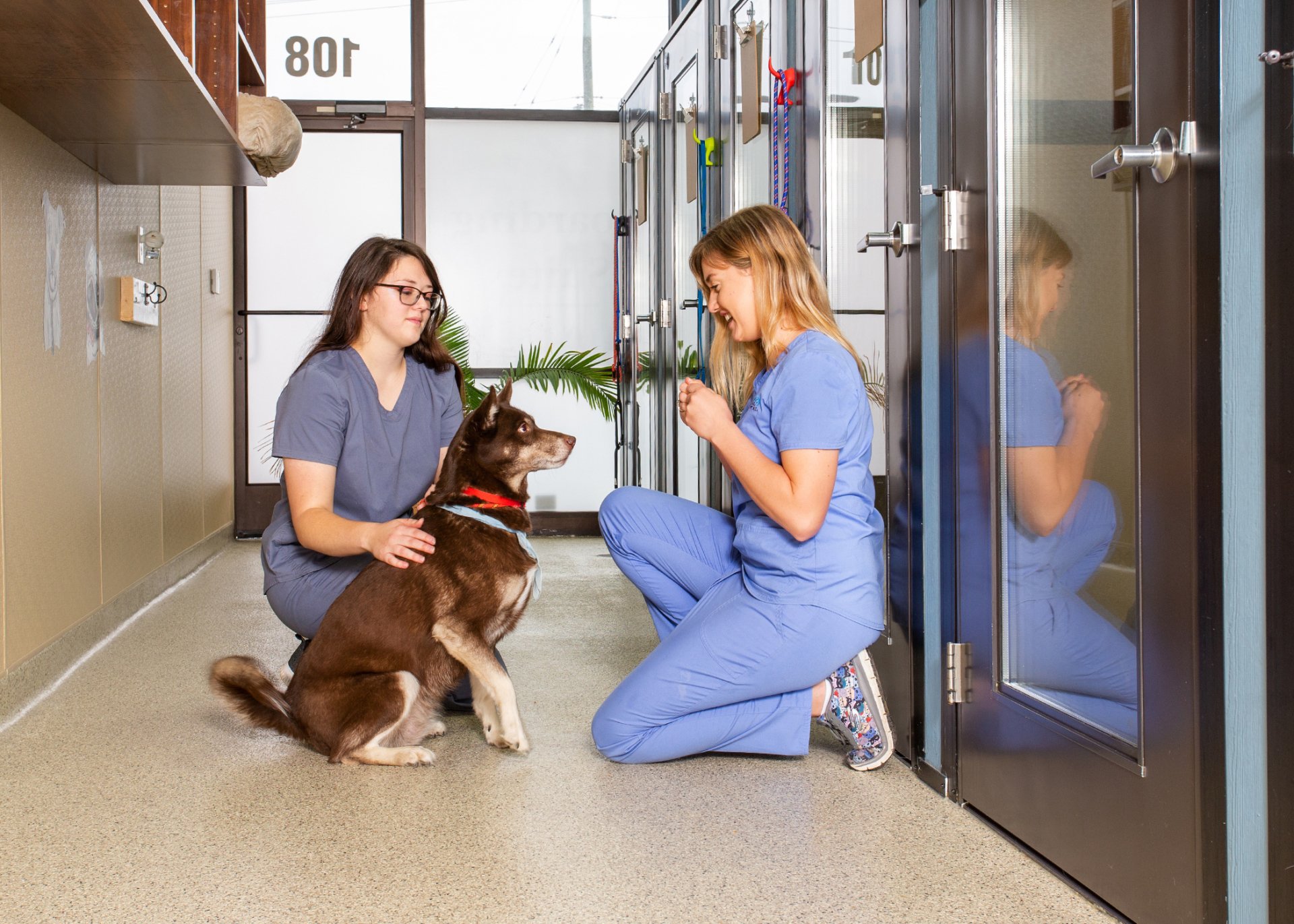 Hospital Tour Barker Animal Hospital