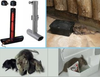 Sistemi convenzionali Bait System