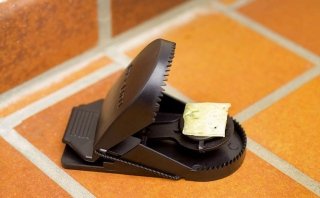 Trappole convenzionali per topi e ratti