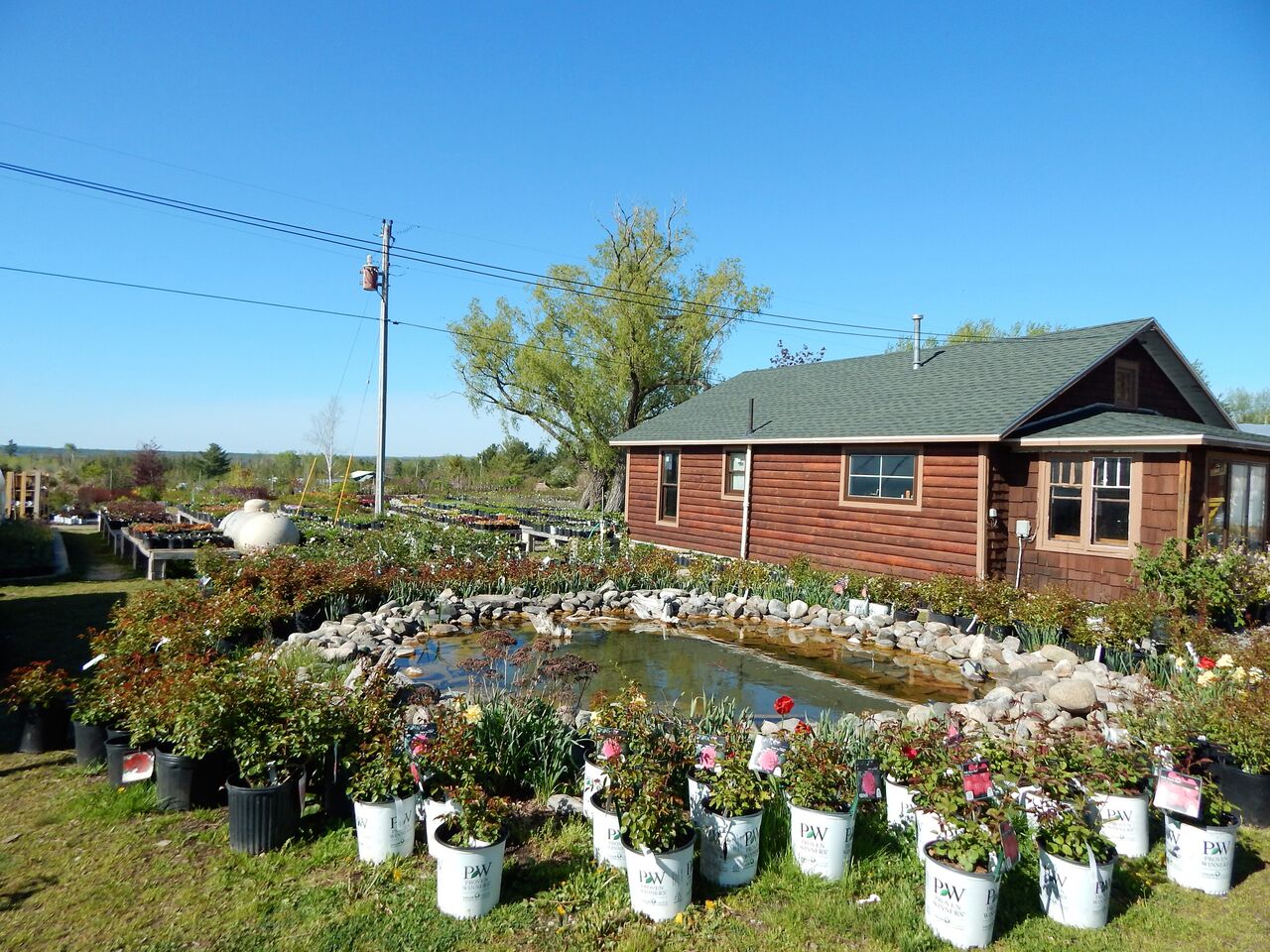 Barker Creek Nursery Let our Experience Work for You