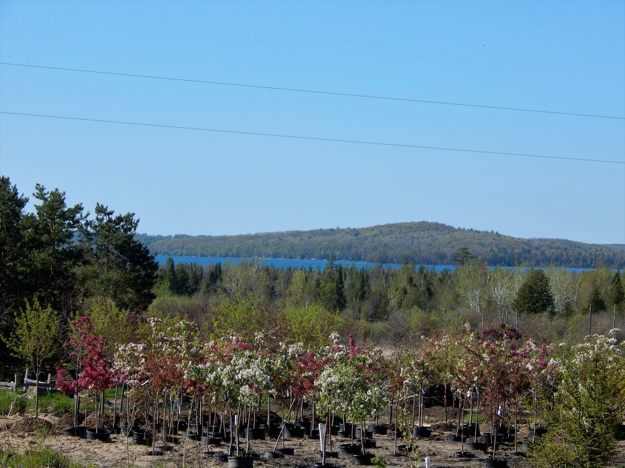 Barker Creek Nursery Let our Experience Work for You