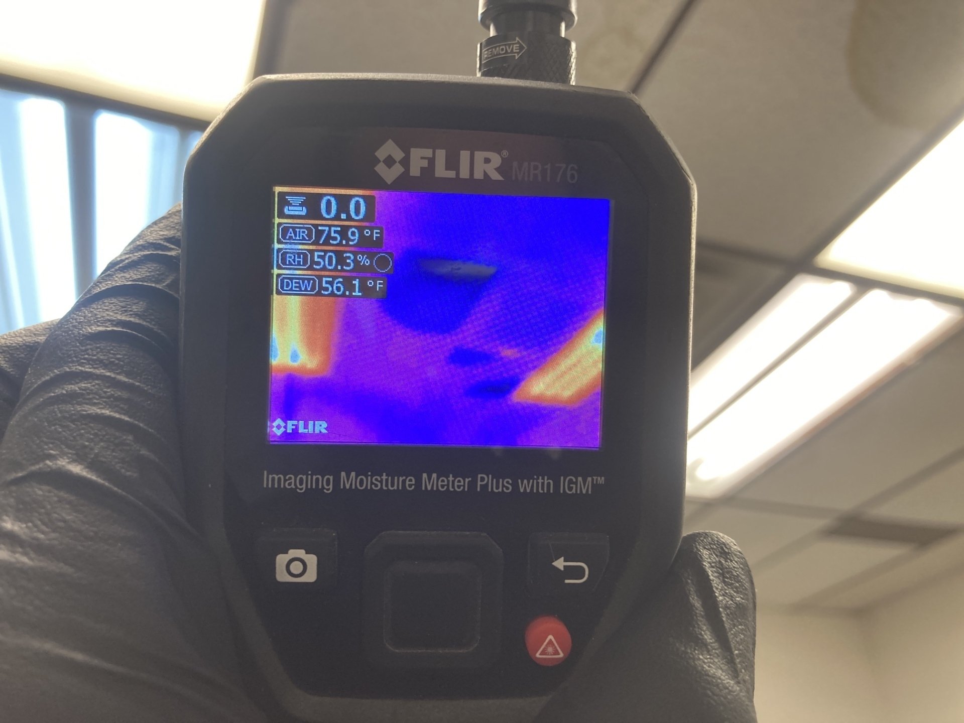 Certified Mold Inspectors Kansas Expert Mold Inspection Services