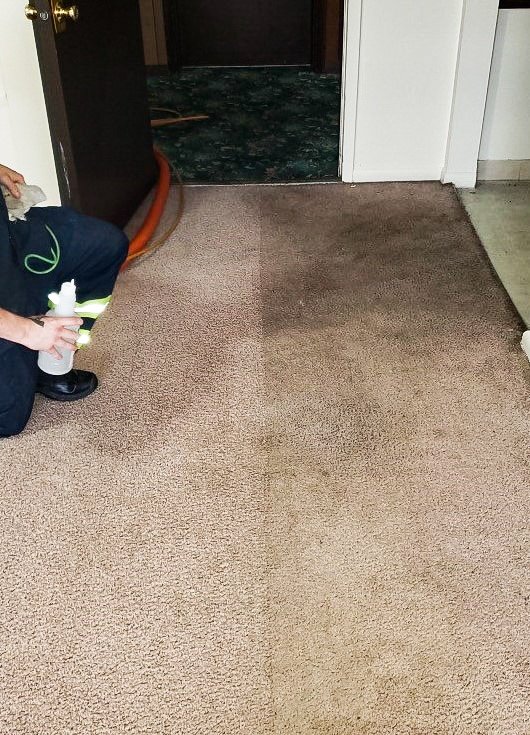 Carpet Cleaning Columbus, OH Buckeye Carpet Care Inc