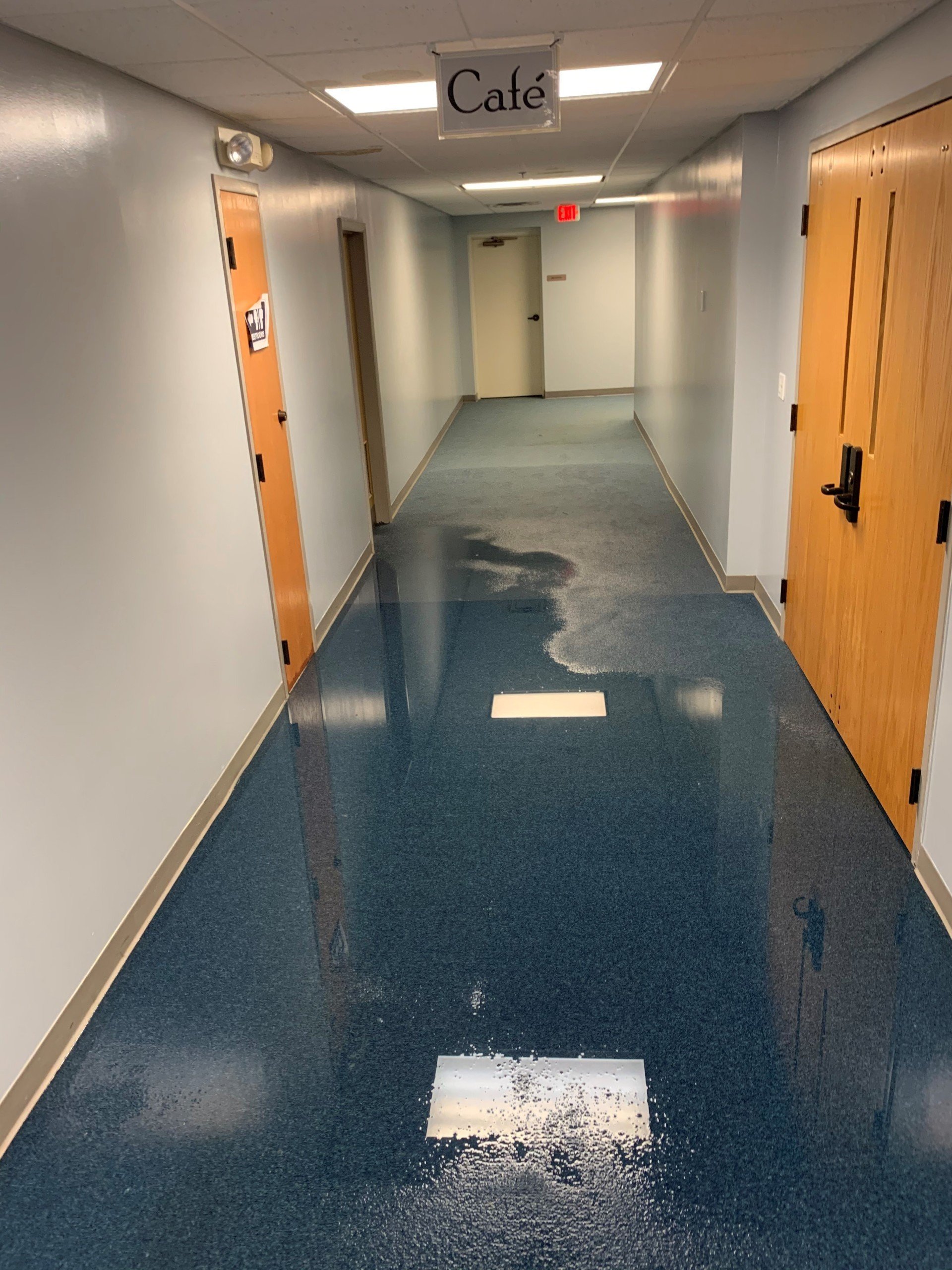 Carpet Cleaning Columbus, OH Buckeye Carpet Care Inc