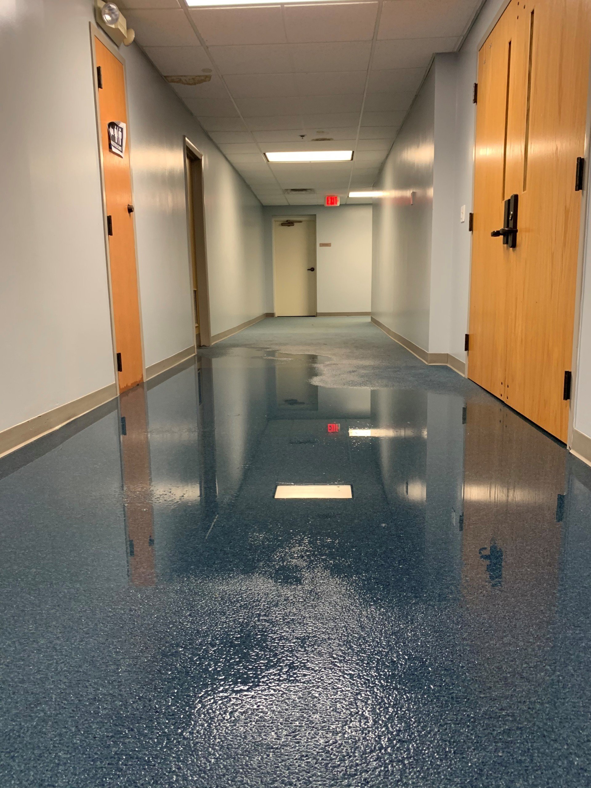 Carpet Cleaning Columbus, OH Buckeye Carpet Care Inc