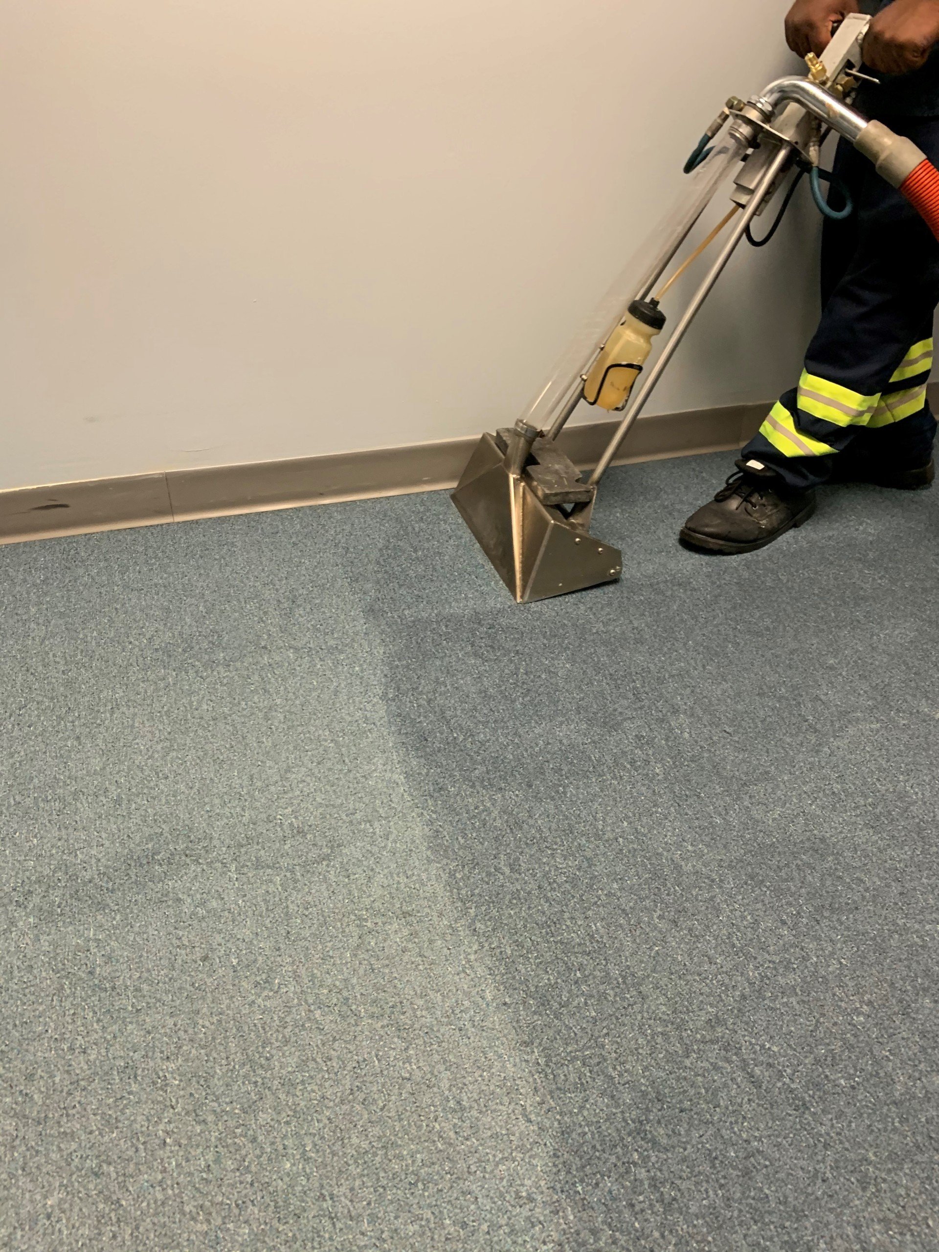 Carpet Cleaning Columbus, OH Buckeye Carpet Care Inc