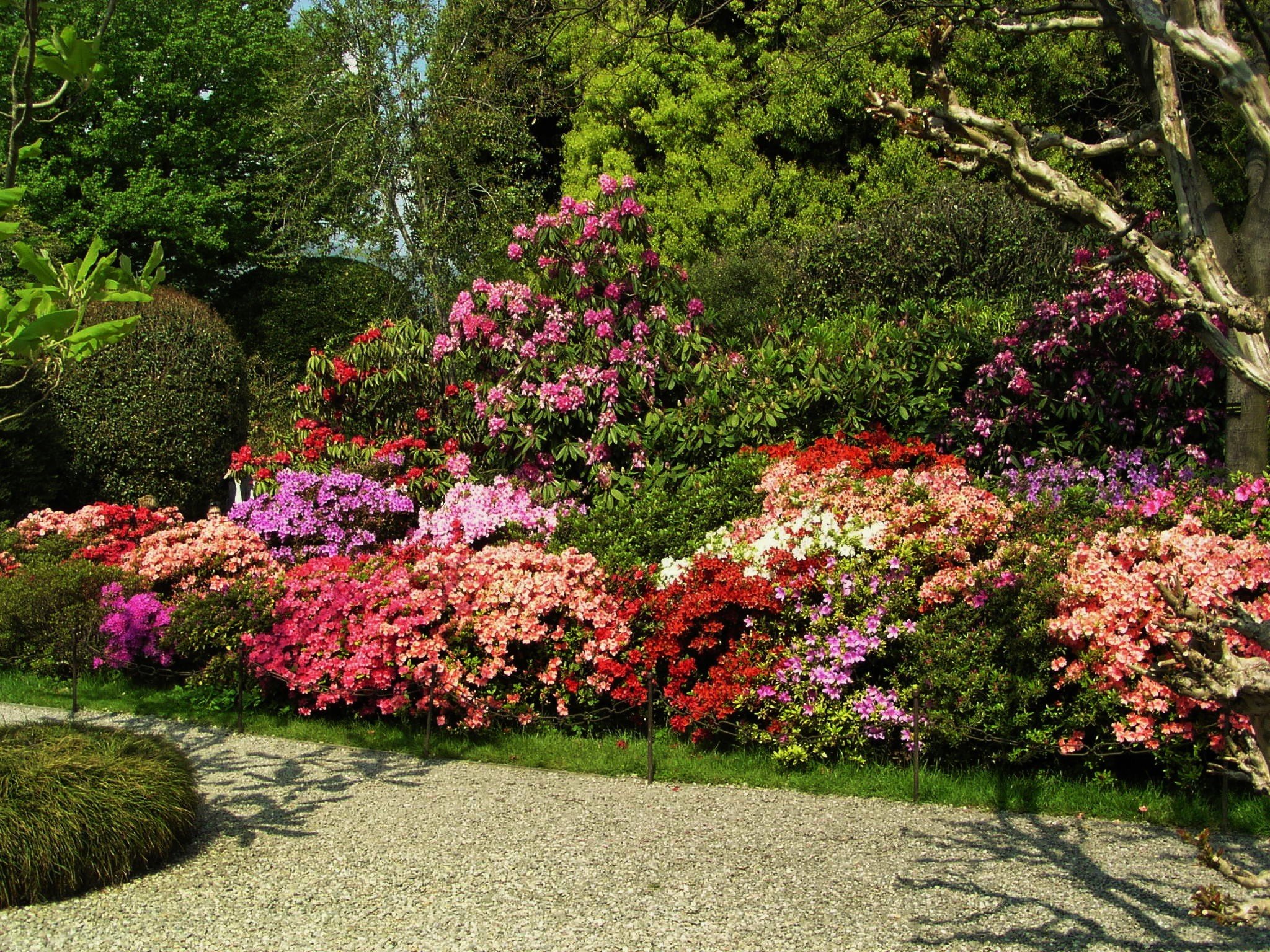 Leisure Living Realty Senior Living Communities Ridge & Suffolk