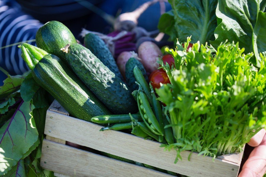 Farm Supplies Bolivar, MO Bolivar Farmers Exchange