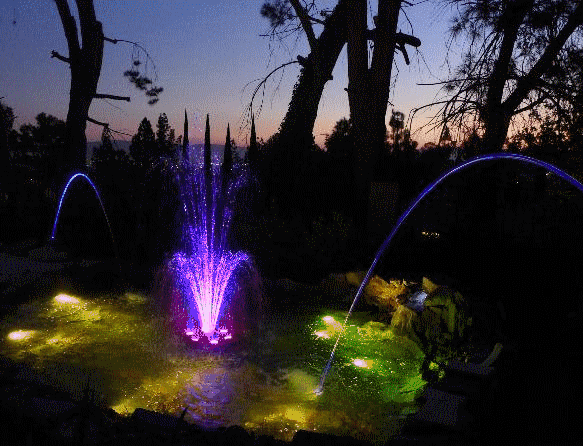 A fountain is lit up at night with purple and green lights