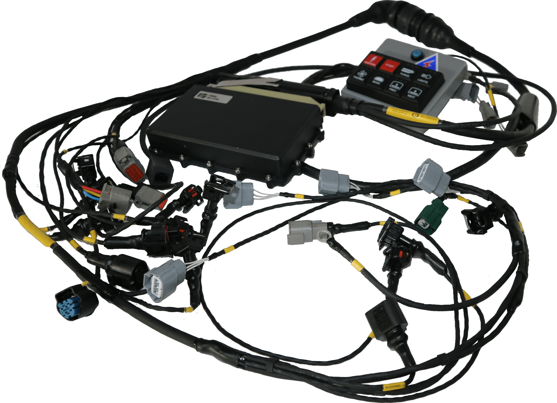 Home [ignitionvictory.com]