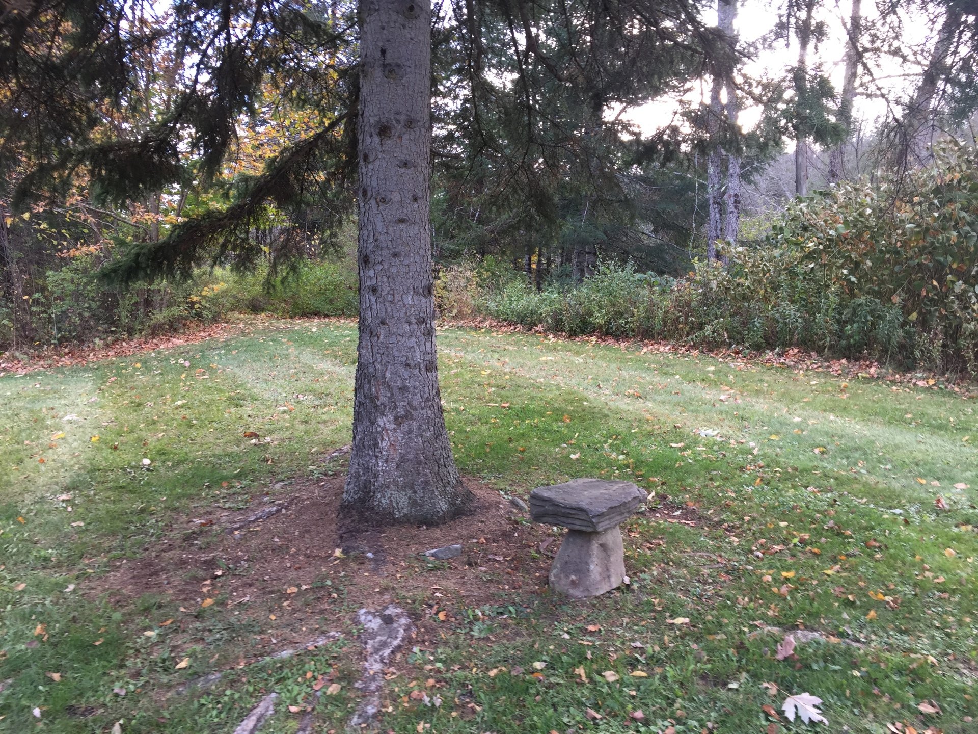 East Burke VT Vacation Rental Cottage Vacation Rental