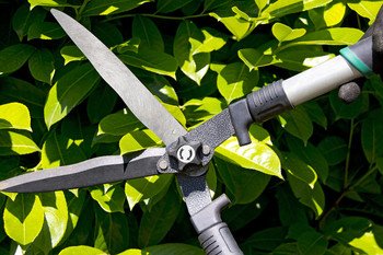 Knife and scissor sharpening | On Point Sharpening Services