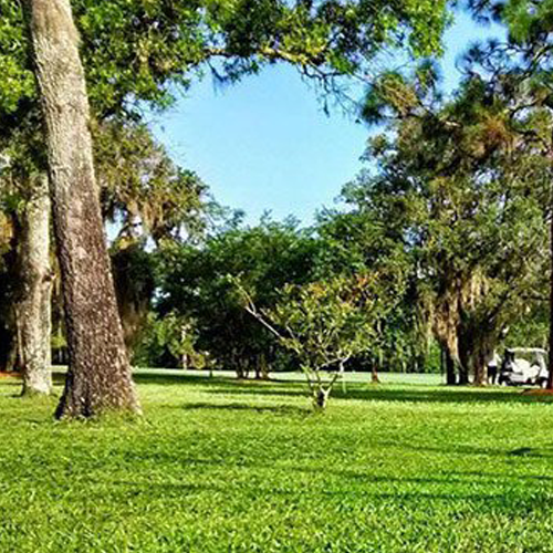 Bahia Sod Jacksonville, FL, and surrounding areas The Sod Lot