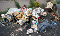 Waste removal