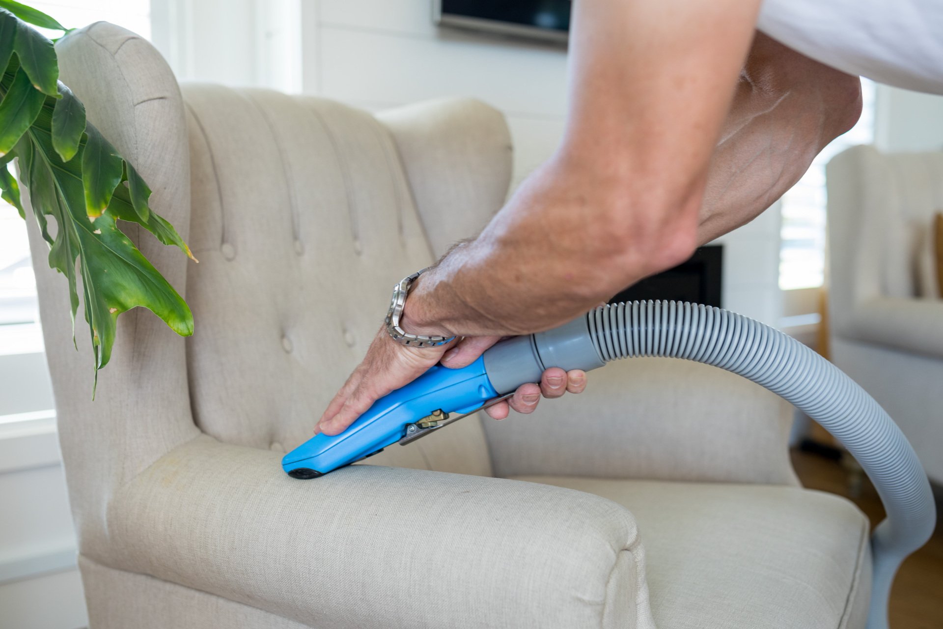 Carpet Cleaners Tauranga Professional Carpet Cleaners Bay Carpet