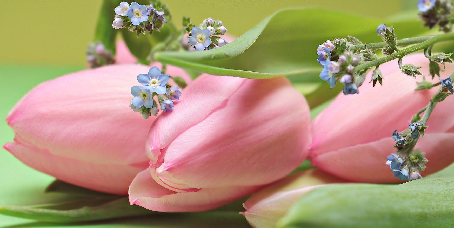 Young's Funeral Homes | Ferriday | Jonesville | Vidalia, LA