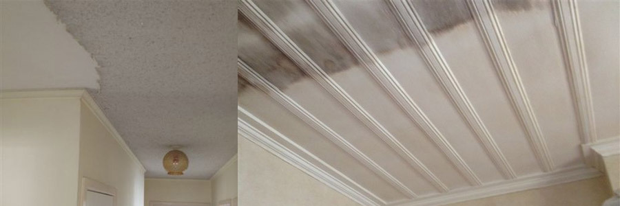 Before and after housewashing in Greater Auckland