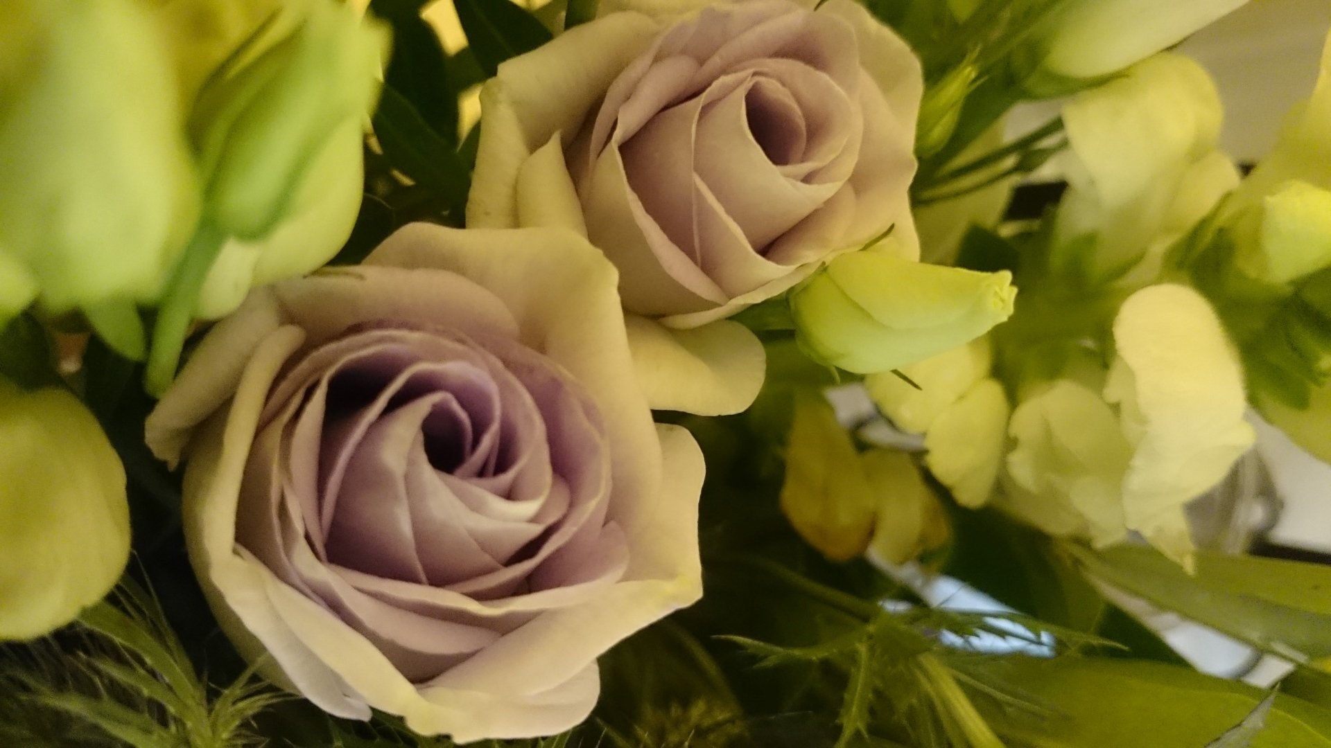 Independent funeral directors | M Franks & Sons