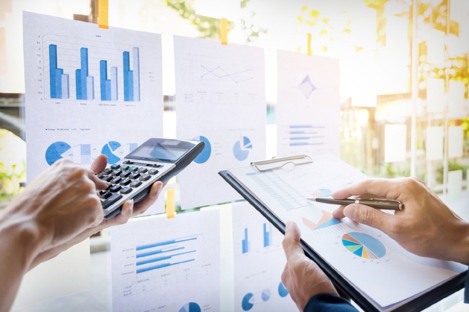 professionals cross checking the data