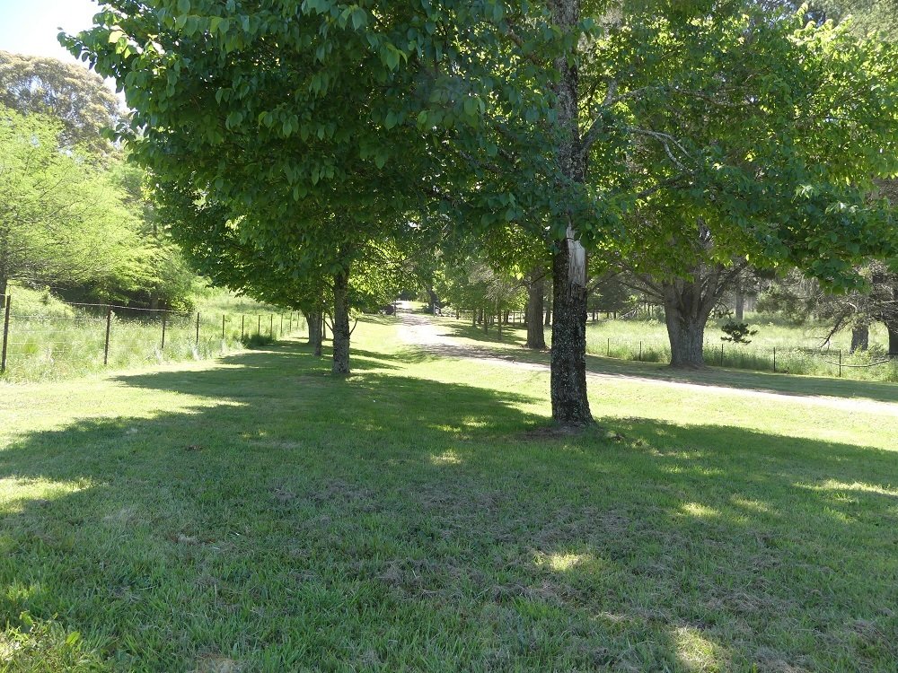 Jim Lyons Agency Property