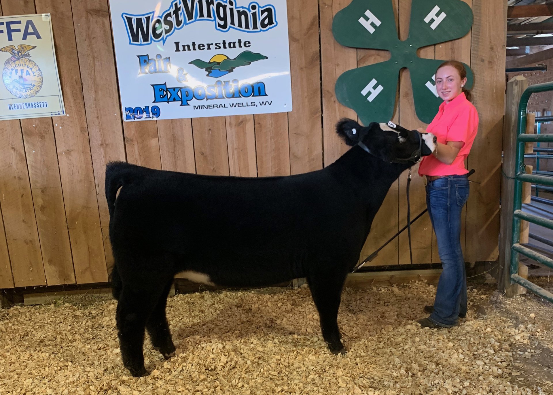 Champions Linde's Livestock Photos