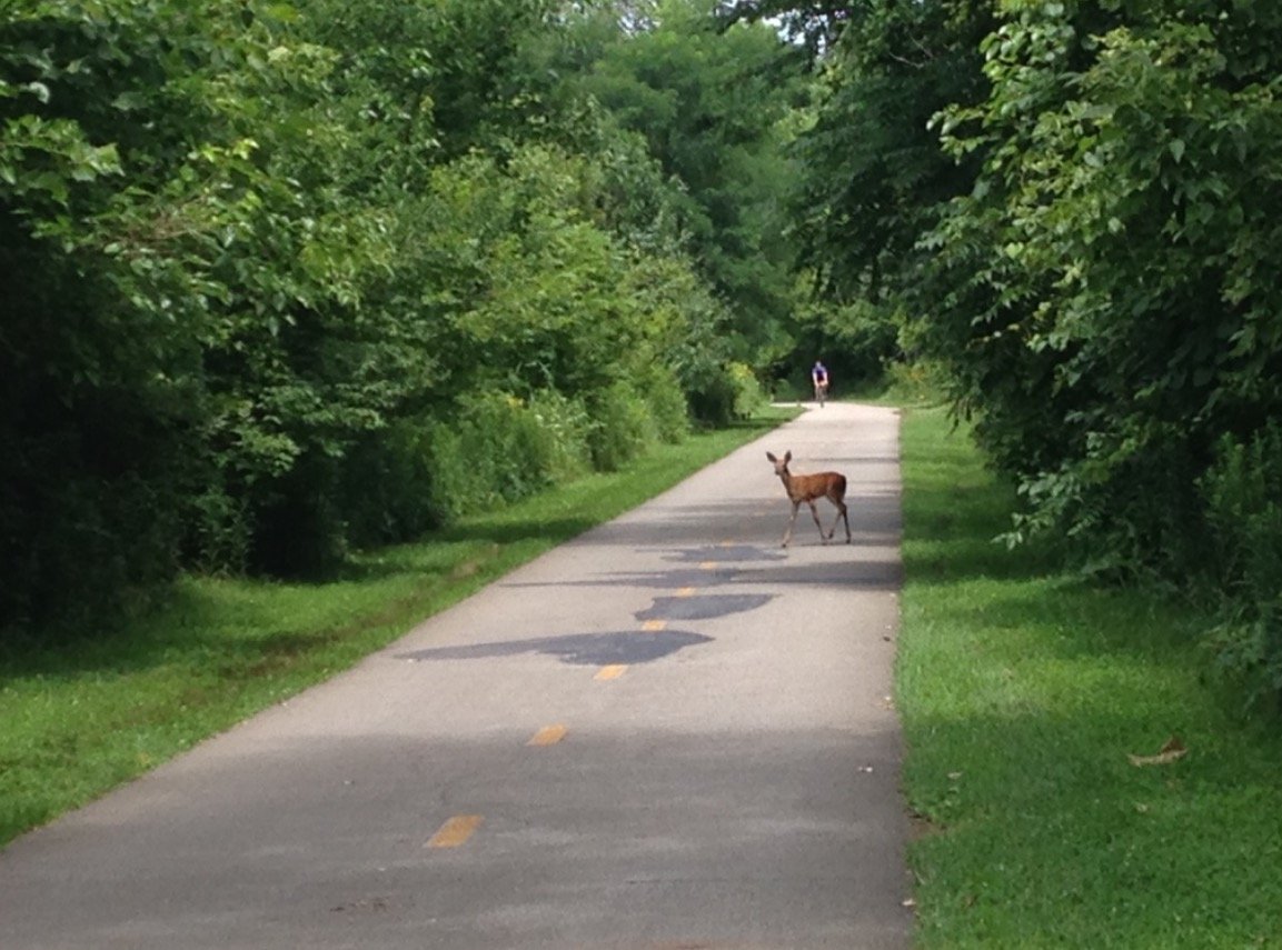 Amenities Apartments on Edgehill, Columbus, OH